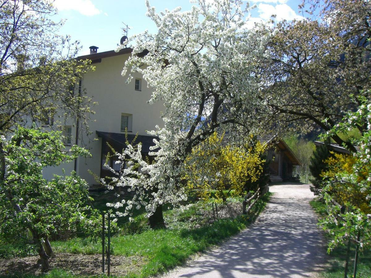 Апартаменты Mareinhof - Urlaub Auf Dem Apfelbauernhof Парчинес Экстерьер фото