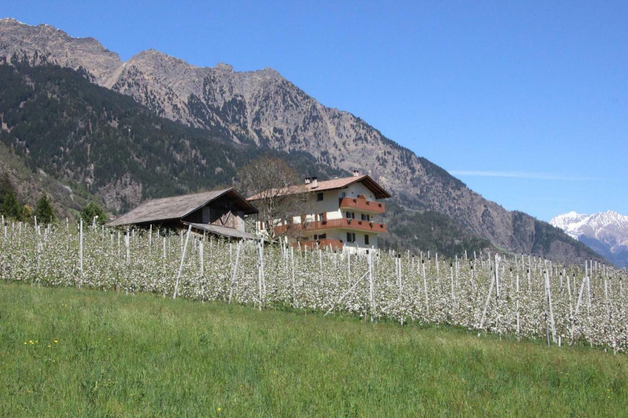 Апартаменты Mareinhof - Urlaub Auf Dem Apfelbauernhof Парчинес Экстерьер фото